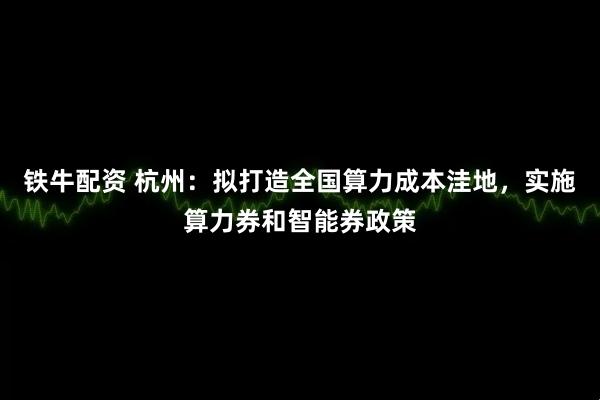 铁牛配资 杭州：拟打造全国算力成本洼地，实施算力券和智能券政策